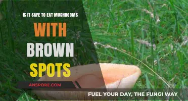 Are Brown-Spotted Mushrooms Safe to Eat? A Fungal Food Guide