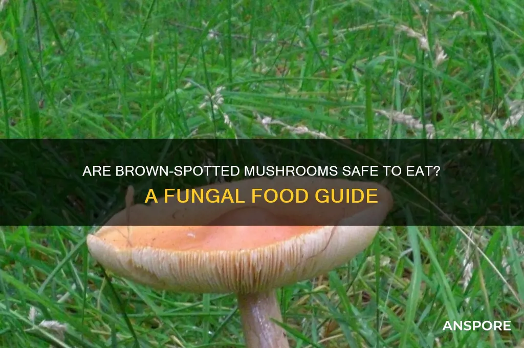 is it safe to eat mushrooms with brown spots