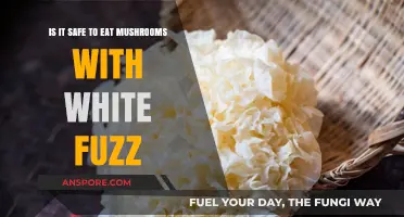 White Fuzz on Mushrooms: Safe to Eat or Toss?