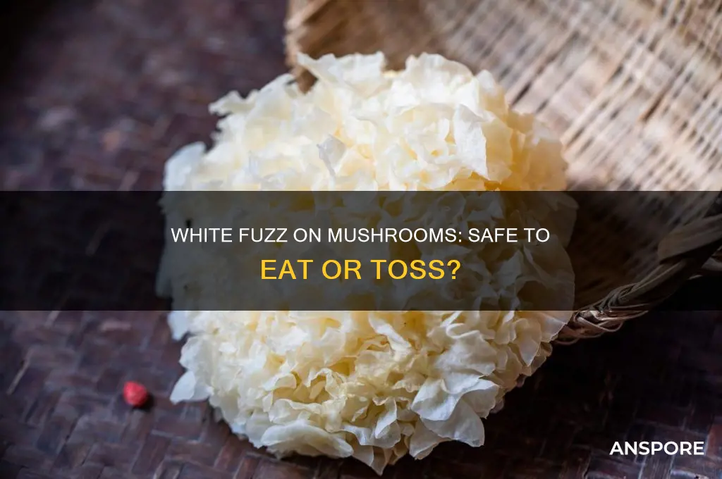 is it safe to eat mushrooms with white fuzz