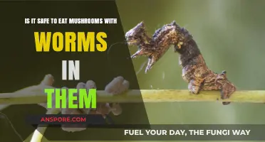 Are Worm-Infested Mushrooms Safe to Eat? Expert Insights