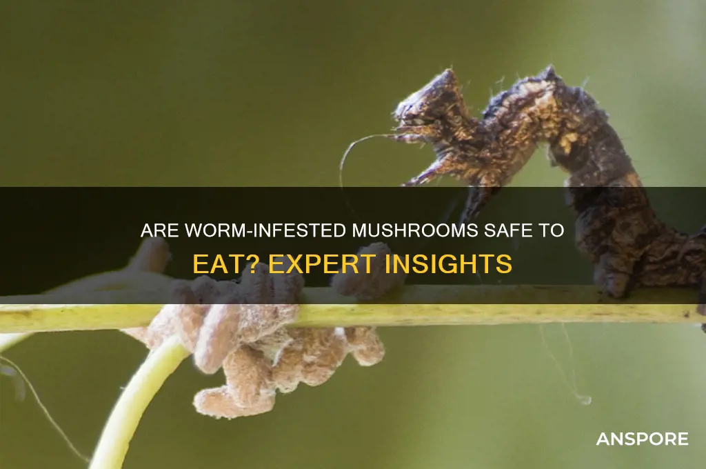 is it safe to eat mushrooms with worms in them