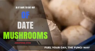 Expired Mushrooms: Are They Safe to Eat or Risky?