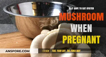 Pregnancy and Oyster Mushrooms: Safe to Eat or Risky Choice?