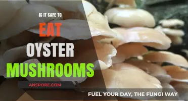 Are Oyster Mushrooms Safe to Eat? A Comprehensive Guide