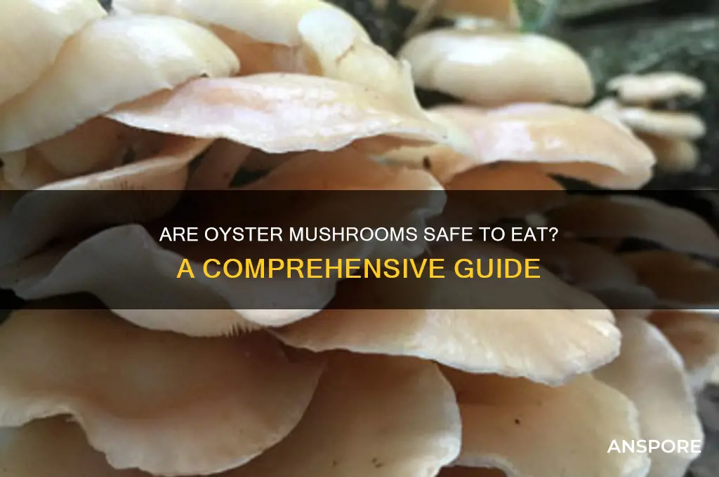 is it safe to eat oyster mushrooms