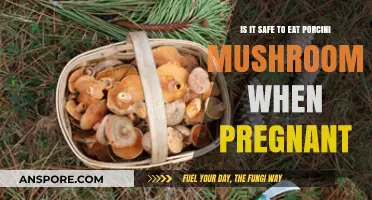 Porcini Mushrooms During Pregnancy: Safe or Risky Choice?