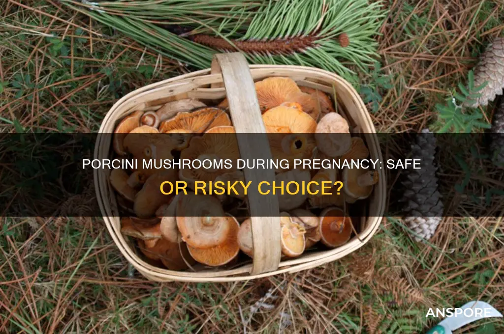is it safe to eat porcini mushrooms when pregnant