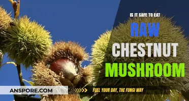 Raw Chestnut Mushrooms: Safe to Eat or Risky Choice?