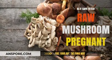 Pregnancy and Raw Mushrooms: Safety Concerns and Risks Explained