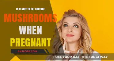 Pregnancy and Shiitake Mushrooms: Safe or Risky for Expecting Moms?