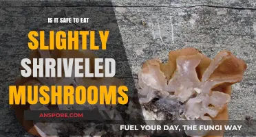 Shriveled Mushrooms: Safe to Eat or Toss? Expert Advice