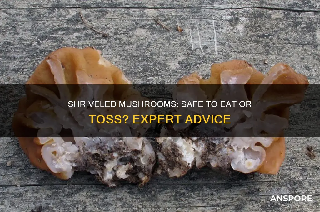 is it safe to eat slightly shriveled mushrooms