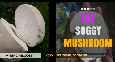 Soggy Mushrooms: Safe to Eat or Toss? Expert Advice