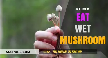 Wet Mushrooms: Safe to Eat or Risky Business?