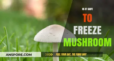 Freezing Mushrooms: A Safe Preservation Method or Risky Practice?