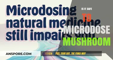 Microdosing Mushrooms: Safety, Benefits, and Potential Risks Explored