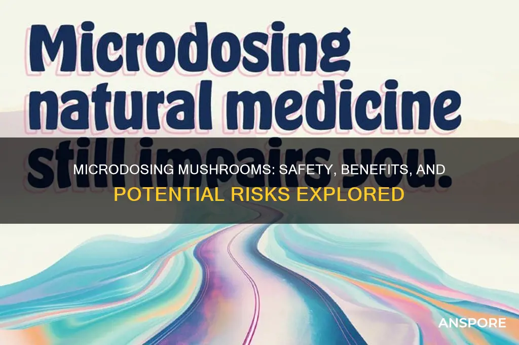 is it safe to microdose mushrooms