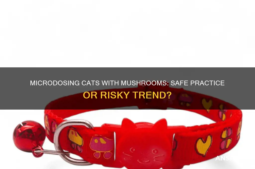 is it safe to microdose your cat with mushrooms