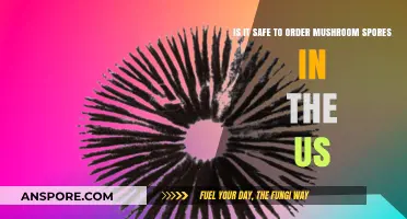 Ordering Mushroom Spores in the US: Legal and Safety Concerns