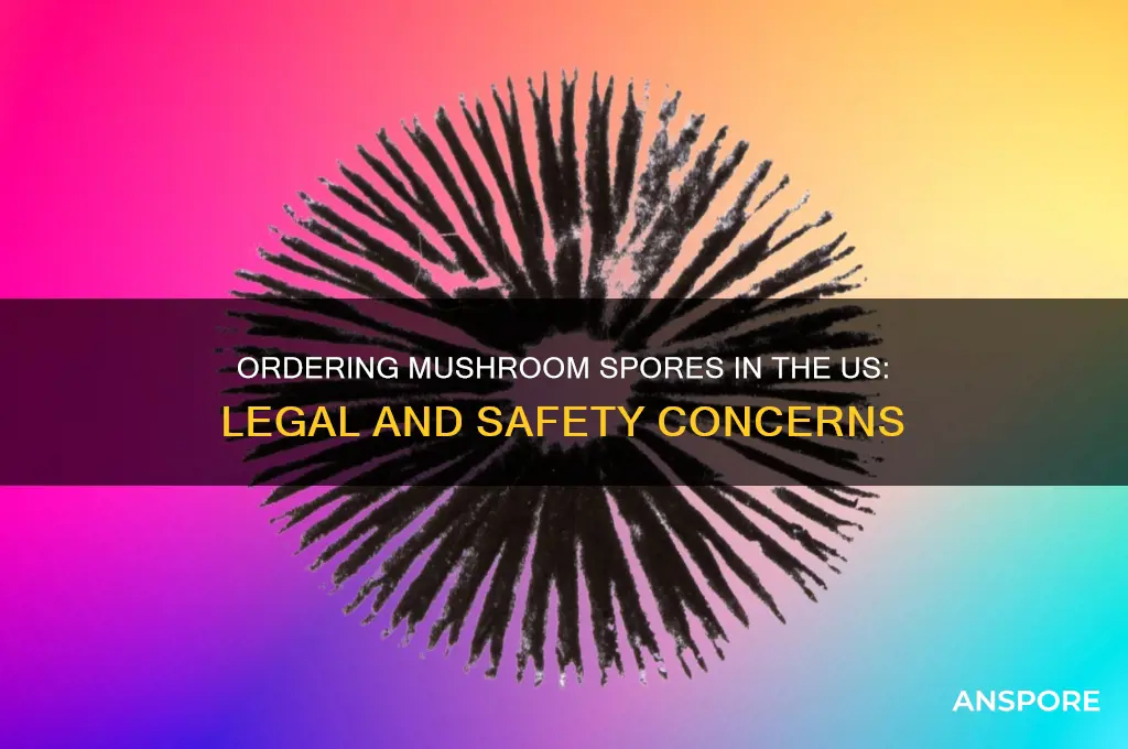 is it safe to order mushroom spores in the us