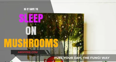Sleeping on Mushrooms: Safe Practice or Risky Experiment?