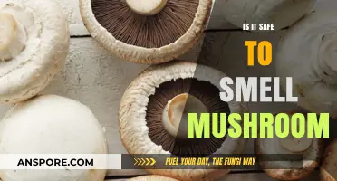 Is It Safe to Smell Mushrooms? A Fungal Fragrance Guide