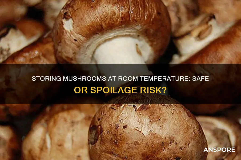 is it safe to store mushrooms at room temperature