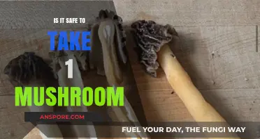 Is One Mushroom Safe? Understanding Risks and Benefits of Consumption