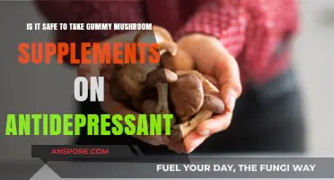 Gummy Mushroom Supplements and Antidepressants: Safe Combination or Risky Mix?