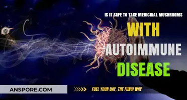 Medicinal Mushrooms and Autoimmune Disease: Safe or Risky Combination?