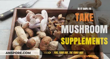 Are Mushroom Supplements Safe? Exploring Benefits, Risks, and Best Practices