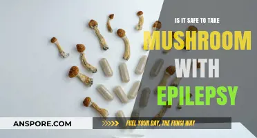 Mushrooms and Epilepsy: Potential Risks and Safety Concerns Explored