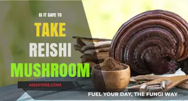 Is Reishi Mushroom Safe? Benefits, Risks, and Usage Guide
