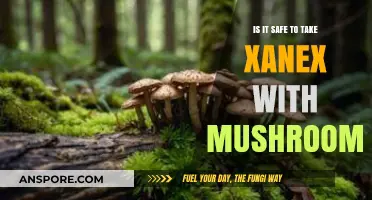 Mixing Xanax and Mushrooms: Potential Risks and Safety Concerns