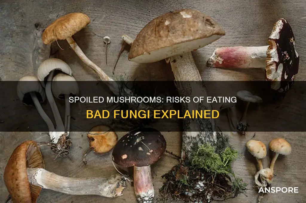 is it safe to use mushrooms that have gone bad