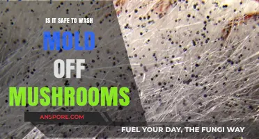 Can You Safely Wash Mold Off Mushrooms? Expert Advice Revealed