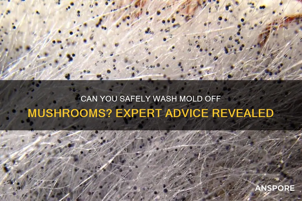 is it safe to wash mold off mushrooms