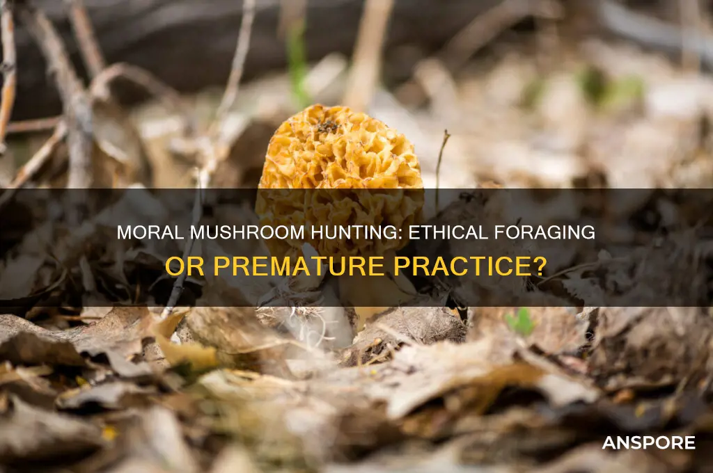is it too early for moral mushroom hunting