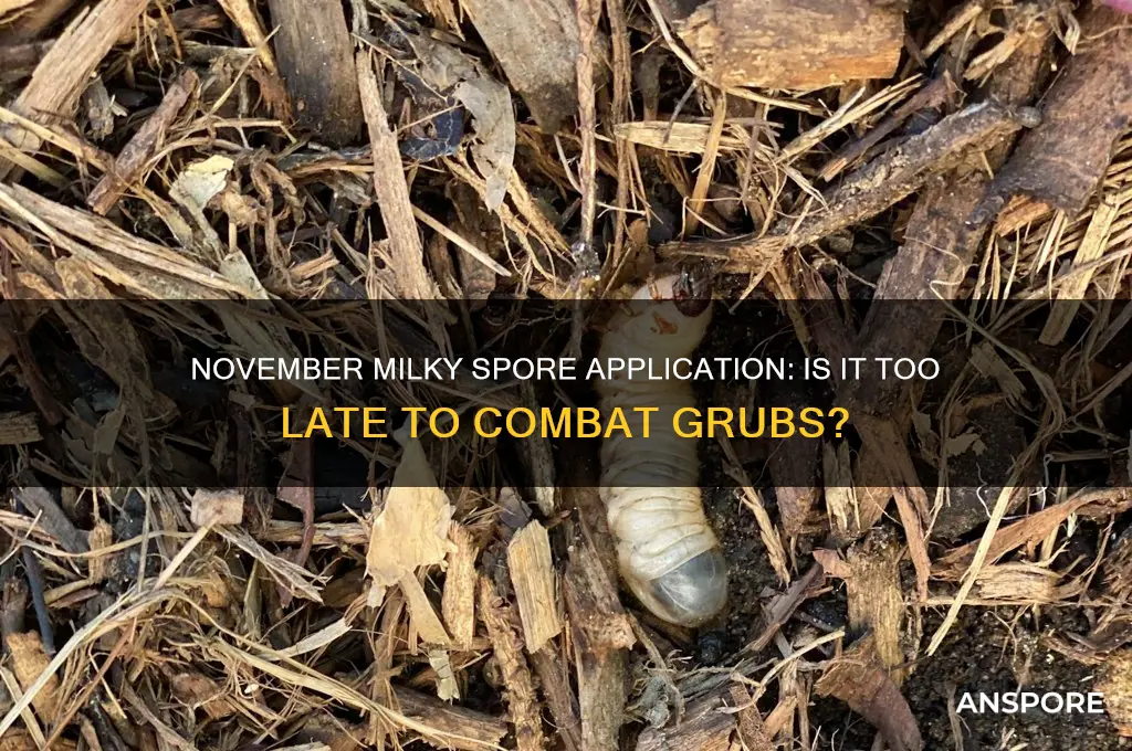 is it too late to apply milky spore november