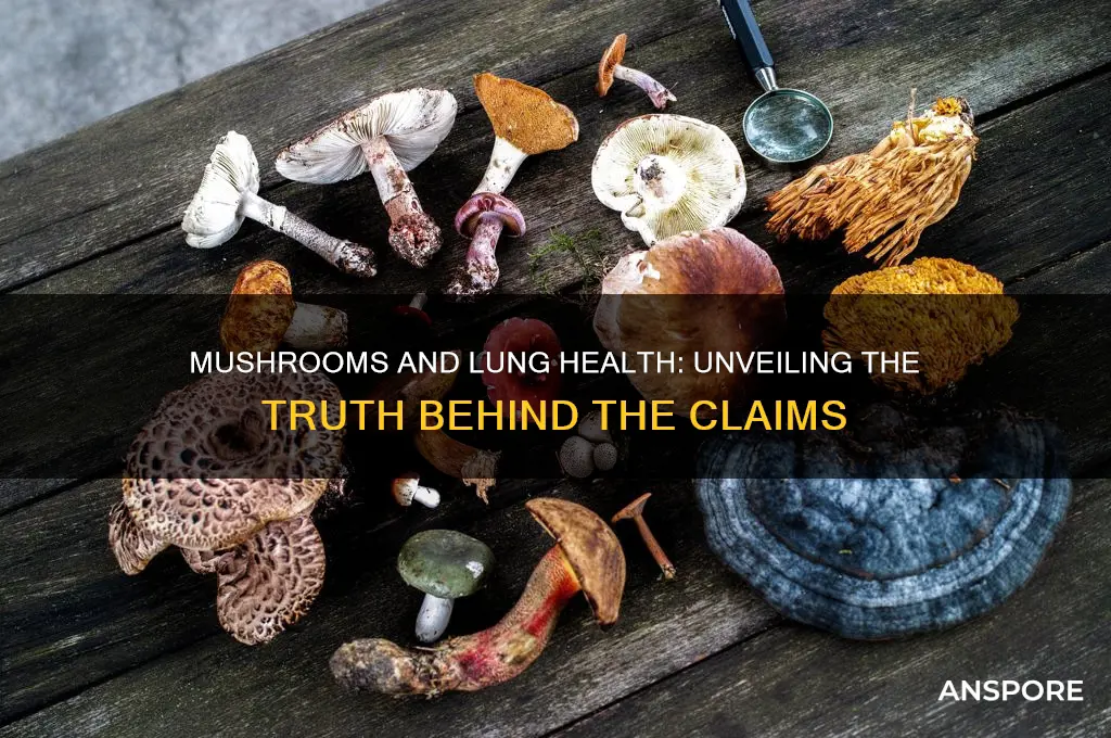 is it true that mushroom help your lungs