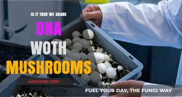 Do Humans Share DNA with Mushrooms? Unraveling the Genetic Mystery