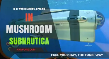 Should You Leave a Prawn in Mushroom Subnautica? Pros and Cons