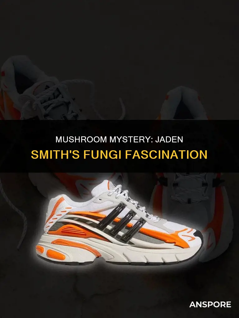 is jaden smith the mushroom