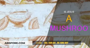 Mushroom Messiah: Jesus and the Magic Mushroom Theory