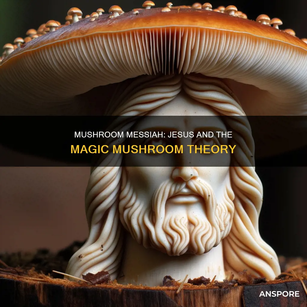is jesus a mushroom