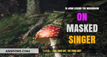 Is John Legend the Mushroom on The Masked Singer?