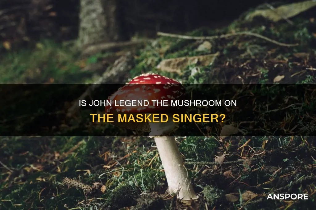 is john legend the mushroom on masked singer