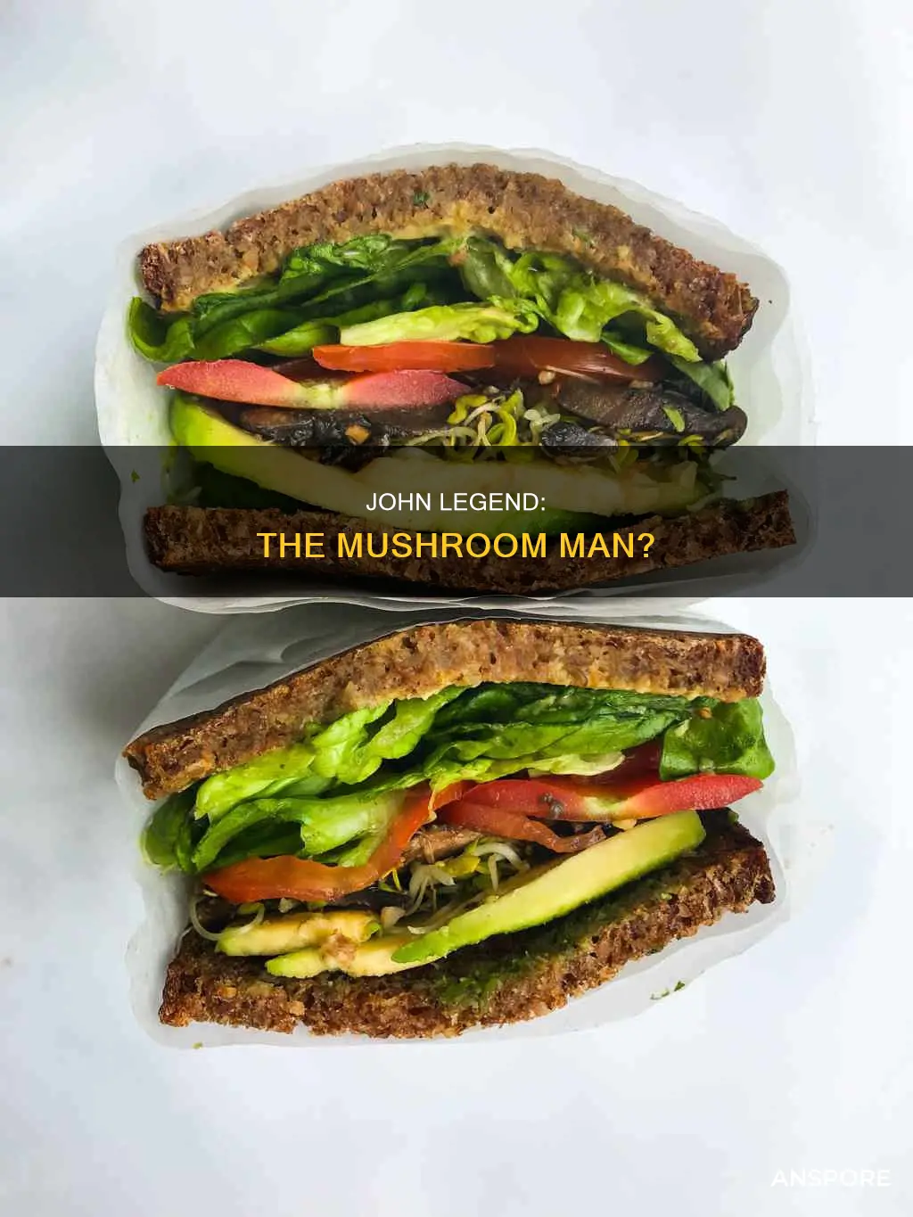 is john legend the mushroom