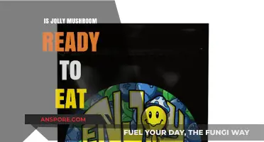 Is Jolly Mushroom Safe and Ready to Eat? A Quick Guide